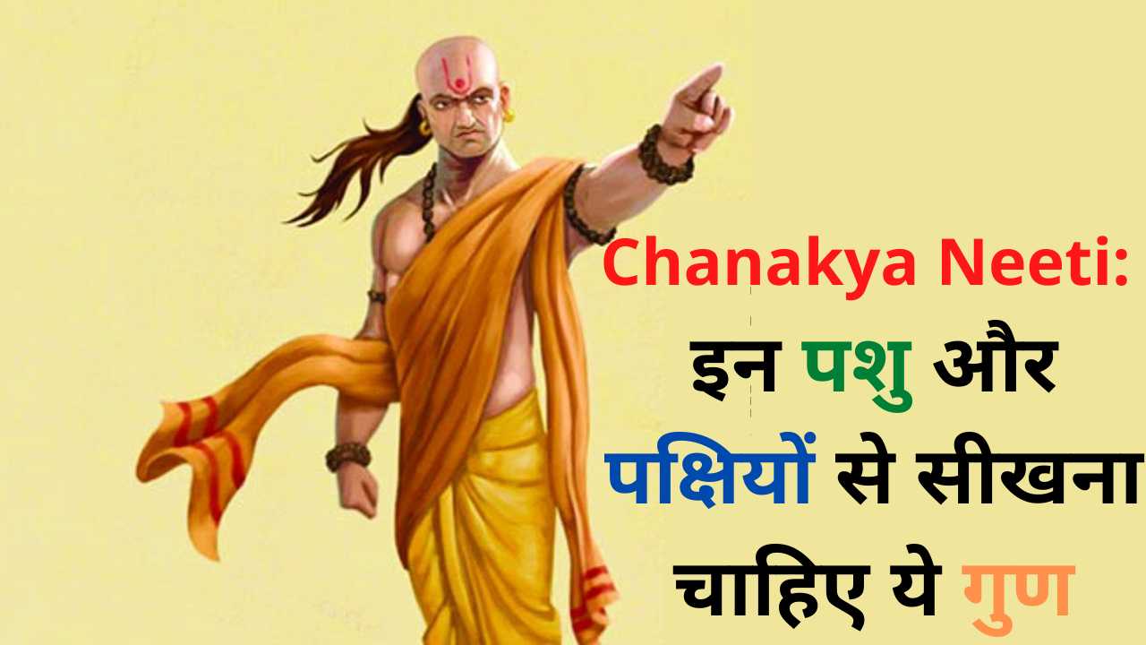 Chanakya Neeti: इन पशु और पक्षियों से सीखना चाहिए ये गुण, जीवन में मिलेगी सफलता और सम्मान