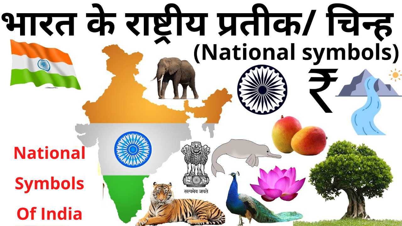 भारत देश के प्रमुख राष्ट्रीय प्रतीक और उनके बारे मे जानकारी