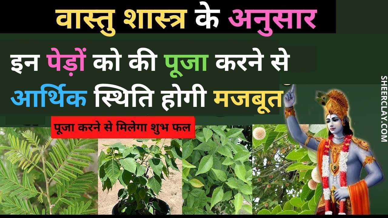 Vastu Tips In Hindi Plant such plants in the house, daily worship will