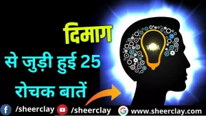 Mind Interesting Facts: हमारे दिमाग से जुड़ी हुई 25 बातें, जो आपको कर देंगी हैरान