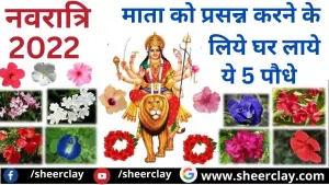 Navratri 2022: माता लक्ष्मी जी कृपा और आशीर्वाद पाने के लिये इस नवरात्रि घर जरूर लाये ये 5 पौधे