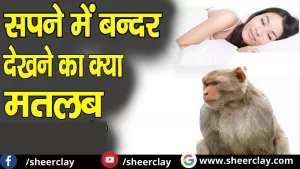 Sapne me Langoor Dekhna: सपने में लंगूर देखने से क्या होता है