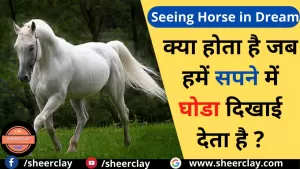 Seeing Horse in Dream: क्या होता है जब हमें सपने में घोडा दिखाई देता है