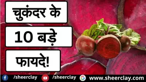 Health Tips Hindi: ये हैं चुकंदर खाने से मिलने वाले 10 बड़े फायदे