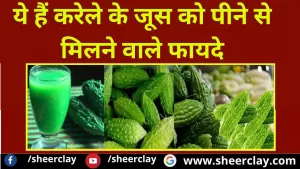 Health Tips Hindi: ये हैं करेले के जूस को पीने से मिलने वाले फायदे