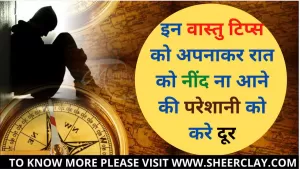 Vastu Tips In Hindi: इन वास्तु टिप्स को अपनाकर रात को नींद ना आने की परेशानी को करे दूर