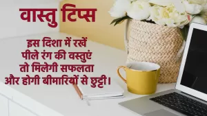 वास्तु टिप्स: इस दिशा में रखें पीले रंग की वस्तुएं तो मिलेगी सफलता और होगी बीमारियों से छुट्टी।