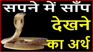 Snakes in Dream: क्या होता है जब हमें सपने में सांप दिखाई देता है