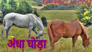 अंधा घोड़ा